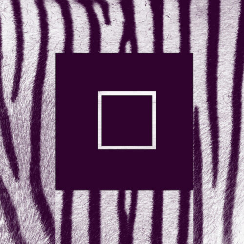 zebra white Substraction vanessagodard art photographie artphotographie artexhibition artshows godartcreation photography contemporaryart contemporary suprematisme artsuprematisme abstraction abstractionart artgallery exhibition square squareart