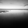 Estuaire de la Gironde Biodiversité Marine Nicolas Camoisson