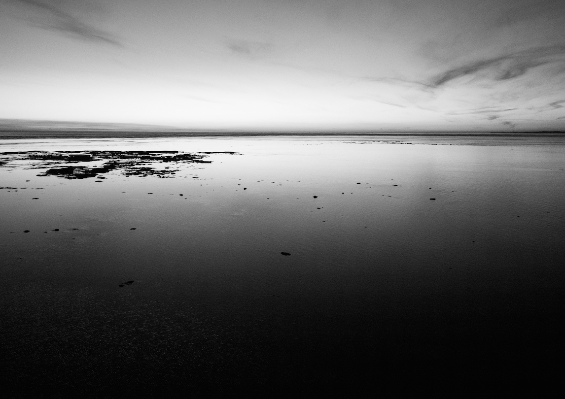 Estuaire de la Gironde Biodiversité Marine Nicolas Camoisson